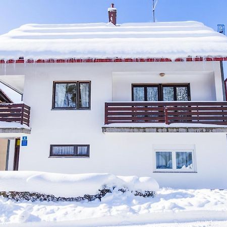 Apartman Japlenški Delnice Bagian luar foto