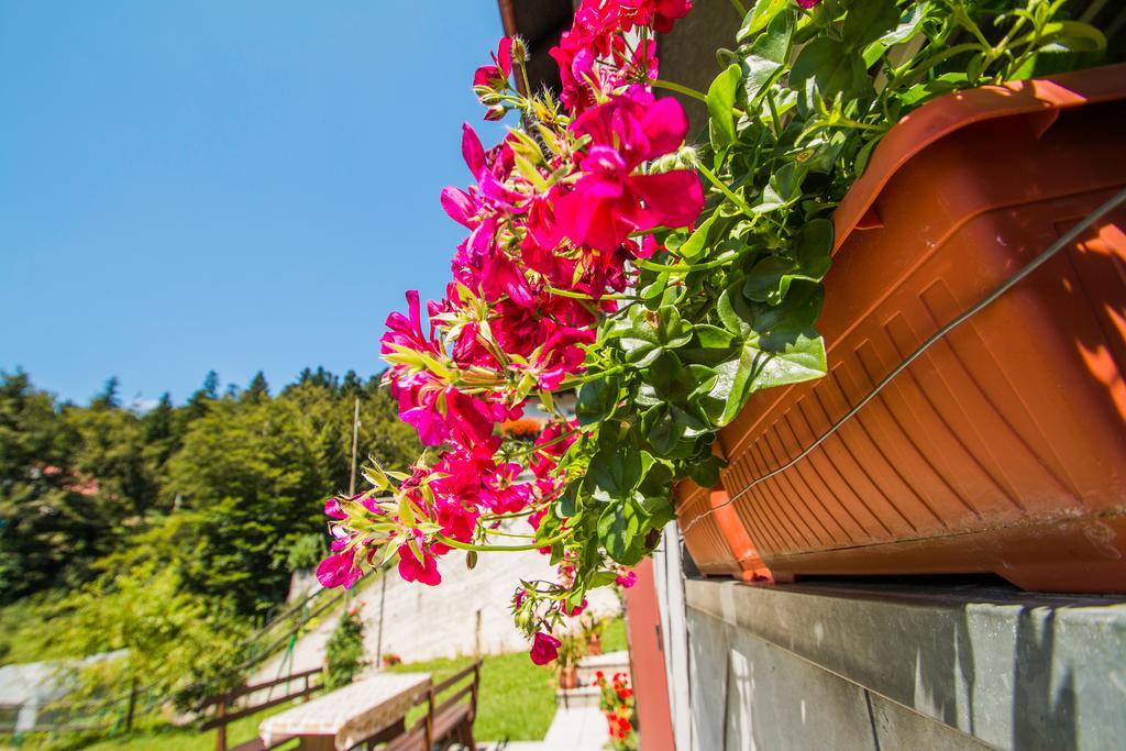 Apartman Japlenški Delnice Bagian luar foto