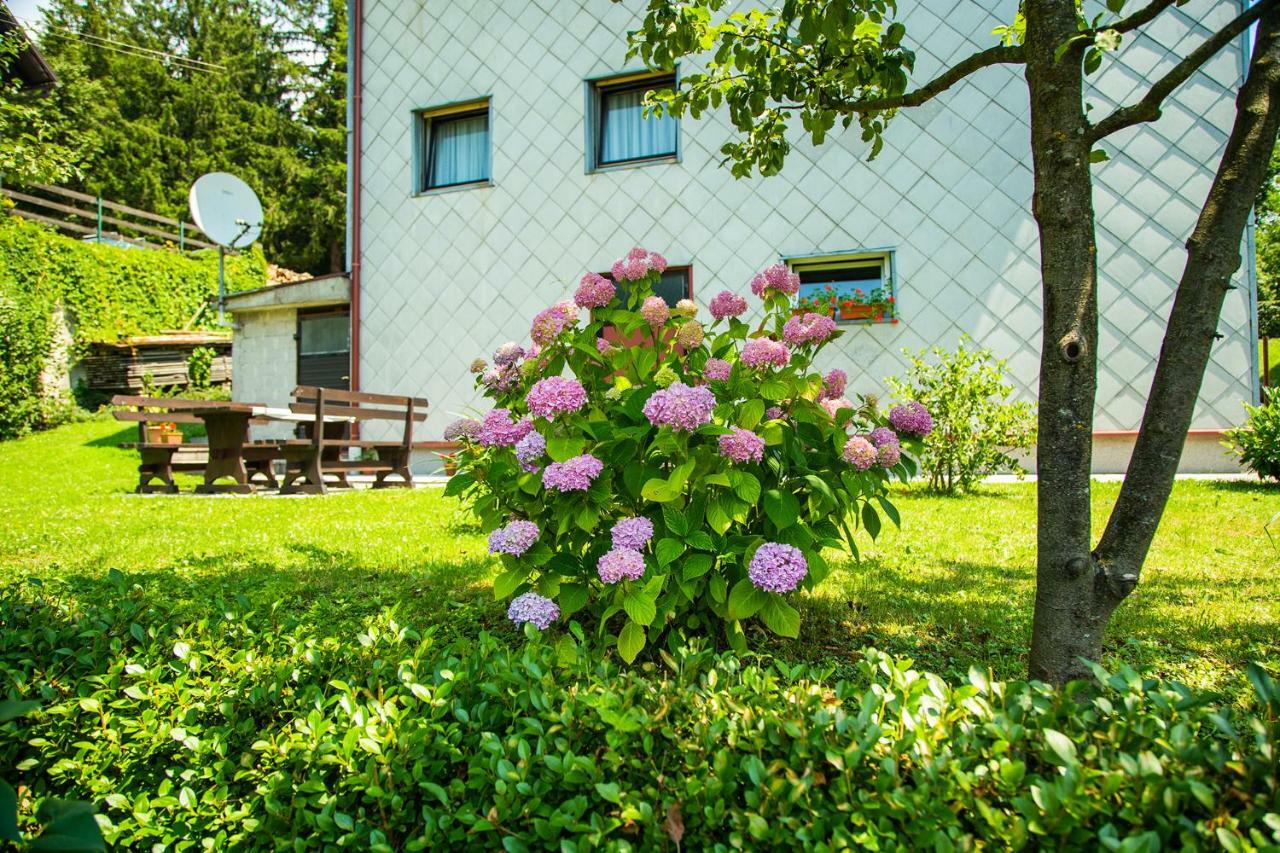 Apartman Japlenški Delnice Bagian luar foto